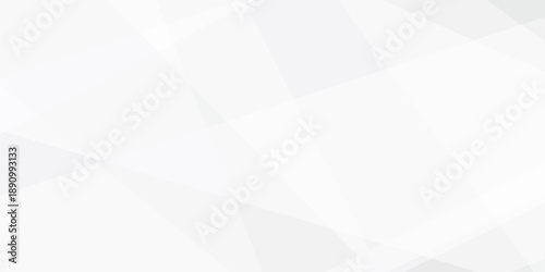 Abstract background with white and gray and geometric style with simple lines and corners, polygons as background geometric style with simple lines and corners, polygons as background paper texture