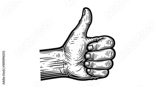 Hand giving thumbs up gesture in black and white illustration with clear finger details