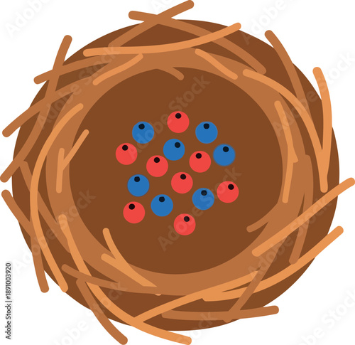 Bird nest with colorful eggs top view isolated vector illustration for spring, Easter, and nature themes