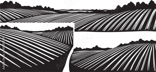 Black and white illustration of a rural landscape collage