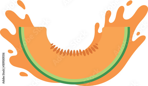 Fresh cantaloupe slice with juice splash vector illustration for summer food and healthy eating concepts