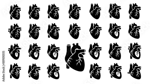 Collection of human heart illustrations in various anatomical views