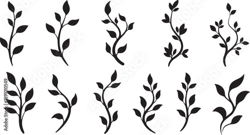 Set of black leafy branch silhouettes on white background