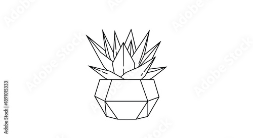 Simple black and white line art illustration shows a succulent plant growing inside a modern geometric pot with sharp faceted edges on white.