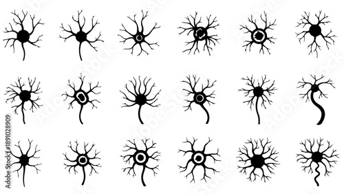 Collection of black neuron cells with branching dendrites on white background
