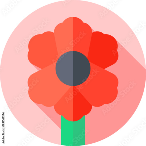 Red poppy flower remembrance