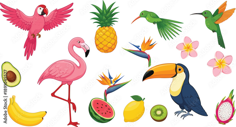 Fototapeta premium Tropical Birds and Fruits Vector Illustration Set with Parrot, Flamingo, Toucan, Pineapple, Banana, Watermelon, and Exotic Floral Elements