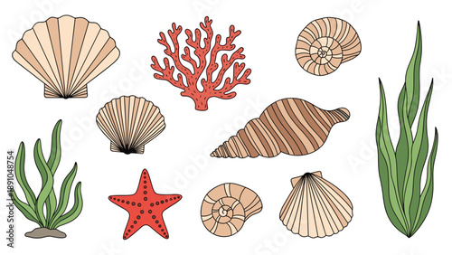 Underwater ocean life collection featuring various seashells, coral branches, a starfish, and green seaweed on a clean white background.