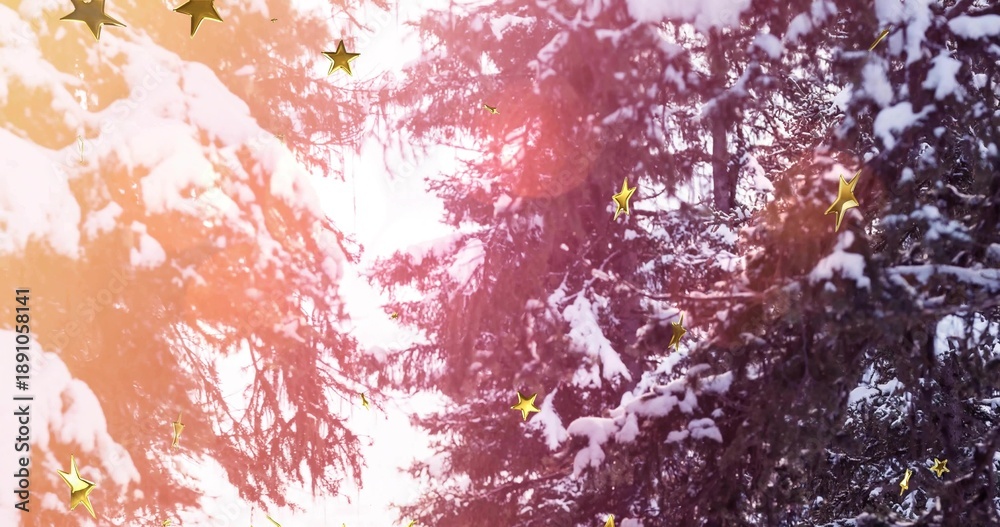 Fototapeta premium Glowing snowy evergreen branches catching pink lens flare in winter canopy, with gold stars