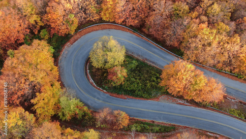 Obraz na plátně Autumn at Pelion mountain,road beech forest,aerial view,Magnesia,Thessaly,Greece