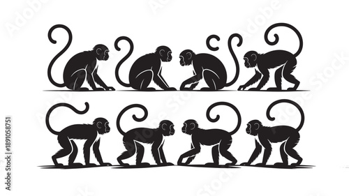 Monkey Evolution Silhouettes in Minimalist Black Silhouette on White Background for Educational Use