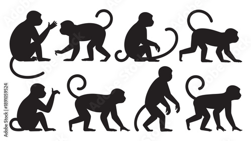 Monkey Evolution Silhouettes in Minimalist Style with Black Color on White Background for Science Illustration