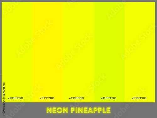 Neon color palette inspired by high tech visuals and nightlife