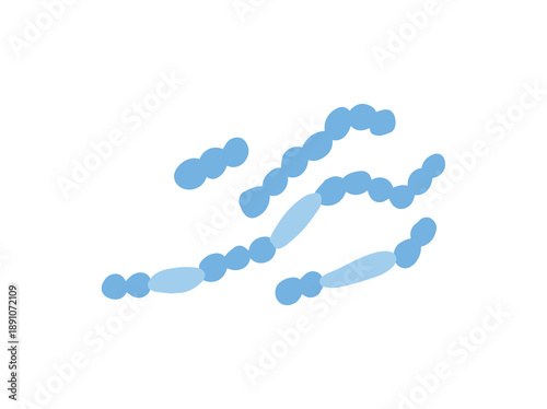 Mold Spore Wallemia Clip Art
