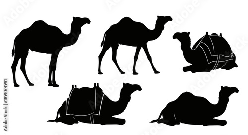 Collection of black camel silhouettes in various poses,