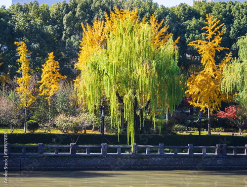 Autumn landscape of a Chinese park. China. Hangzhou.