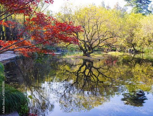 Autumn landscape of a Chinese park. China. Hangzhou.