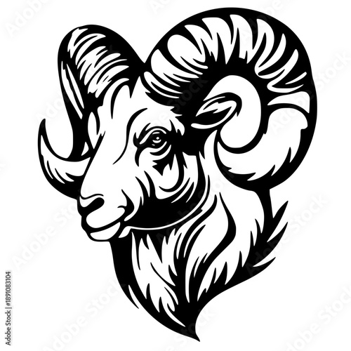 Stunning ram head illustration with curved horns