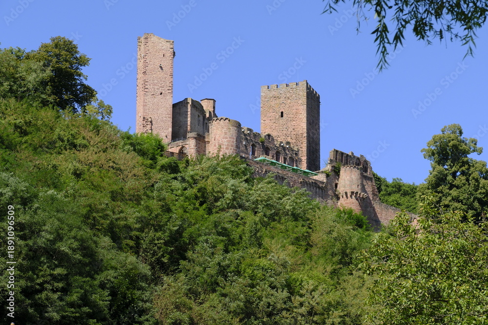 Fototapeta premium Ruine Henneburg auf dem Kühlberg oberhalb des Historischer Ortskern von Stadtprozelten, Landkreis Miltenberg, Unterfranken, Franken, Bayern, Deutschland