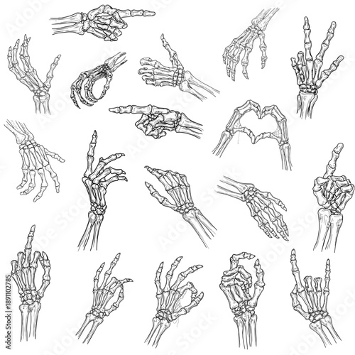 Skeletal hand with various gestures, sketch. Vector illustration. Bony fingers making OK sign, heart or pointer, collection isolated on background. Аor banners, Halloween signs and various occasions.