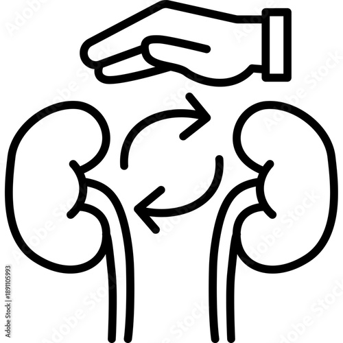 Kidney Transplant Vector Icon