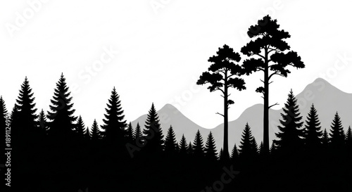 Black silhouette of pine trees against gray mountains