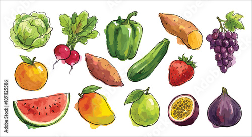 Hand-drawn watercolor vegetables and fruits illustration collection, isolated on white background