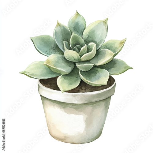 Watercolor painting of a potted succulent plant 1.