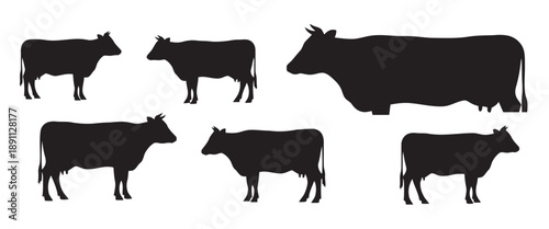 Group of black cow silhouettes representing livestock and farm animals in various poses and sizes ideal for agriculture themes and rural scenery designs farm animal collection