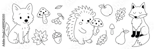 Set of funny forest animals: hedgehog, wolf, fox autumn elements isolated on white background for coloring book design. Simple doodle hand drawn style