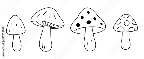 Set of autumn season forest mushrooms isolated on white background for coloring book design. Simple doodle hand drawn style