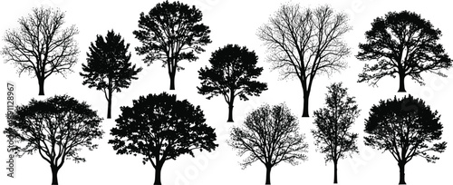 Black silhouettes of trees on white background tree, silhouette, black, white, background, leafy, bare, branches, trunks, foliage, nature, landscape, deciduous, evergreen, silhouettes, trees, eleven, 