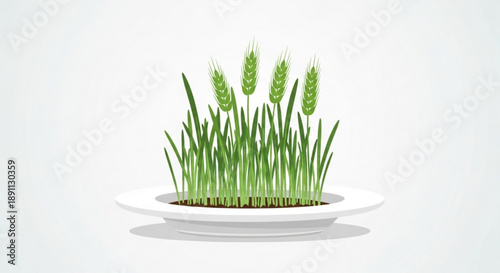 Green wheat grass growing in a white bowl on a plain background symbolizing health and nature
