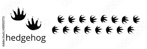 Hedgehog footprint silhouettes set, small mammal wildlife track vector illustration.