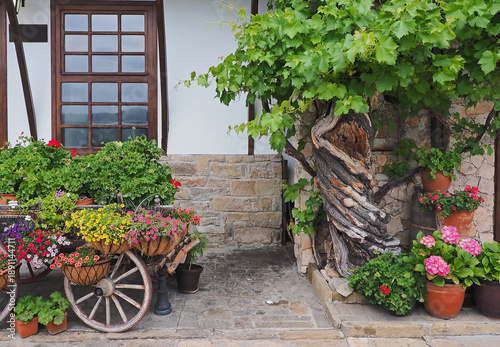 Creeper and potted flowers on the cart