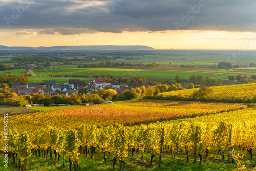 Sonnenuntergang über den Weinbergen bei Wiebelsberg, Gemeinde Oberschwarzach, Landkreis Schweinfurt, Unterfranken, Franken, Bayern, Deutschland