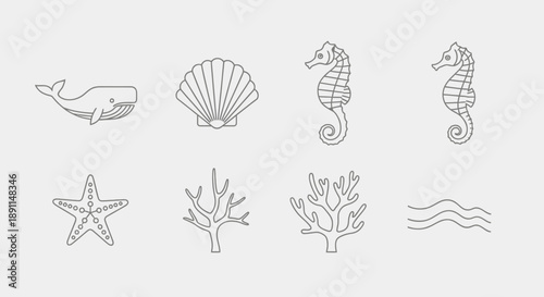 Ocean themed vector illustration set whales sea horses and marine life icons
