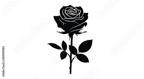 A striking black rose illustration with detailed petals a captivating silhouette