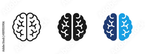 Human brain illustration, icon for intelligence, thinking, creativity, and mind, concept for knowledge, learning, and cognitive function, psychology and science symbol vector