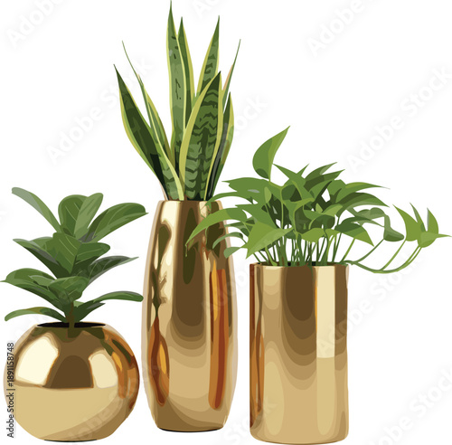 Modern indoor houseplants in luxury gold planters isolated on white background, minimalist botanical decor for contemporary interior design