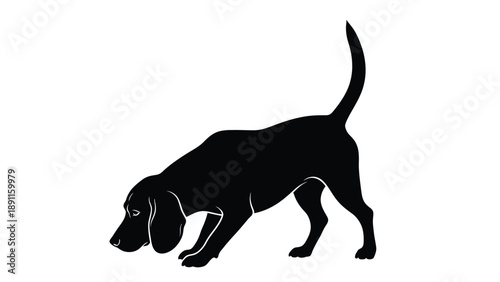 Black silhouette beagle dog illustration sniffing ground with tail held high