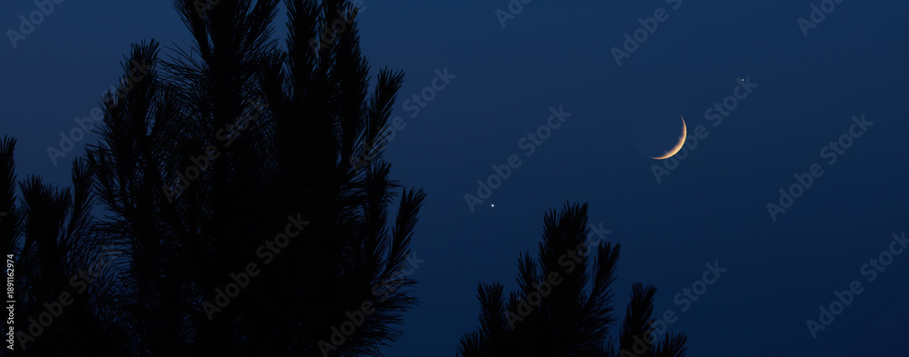 Fototapeta premium Crescent young Moon with stars, planets and rural countryside tree silhouettes.