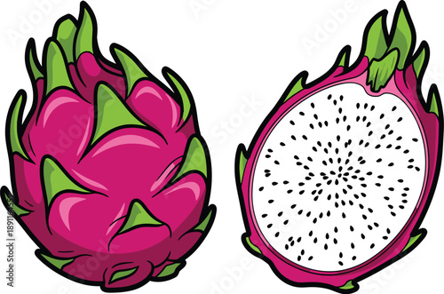 Illustration of two dragon fruits, one whole and one cut in half showing white flesh with black seeds