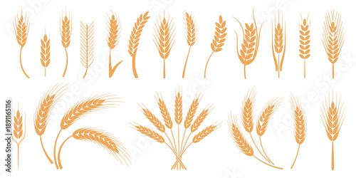 Wheat and rye ears, barley rice grains, beer logo elements, organic agriculture food, golden heraldic shapes, vector illustration isolated, natural farming symbols