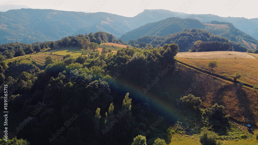 Obraz premium Tranquil sunny summer landscape with green fields and hills.