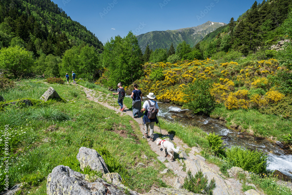 Fototapeta premium hikers in Canya de La Rabassa, Rialb Valley, Ordino district, Andorra, Europe