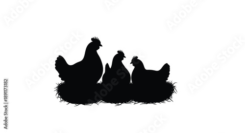 A group of chickens resting together in a farmyard silhouette