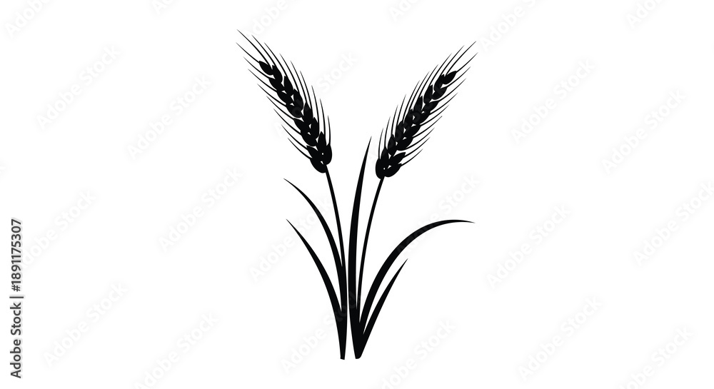 Naklejka premium Two stalks of wheat with detailed grain heads and curving leaves are presented in a stark black silhouette high quality