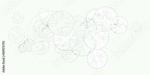 Abstract composition of overlapping circular shapes in a soft green tone