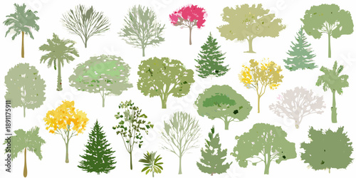 A colorful collection of diverse tree types and foliage illustrations